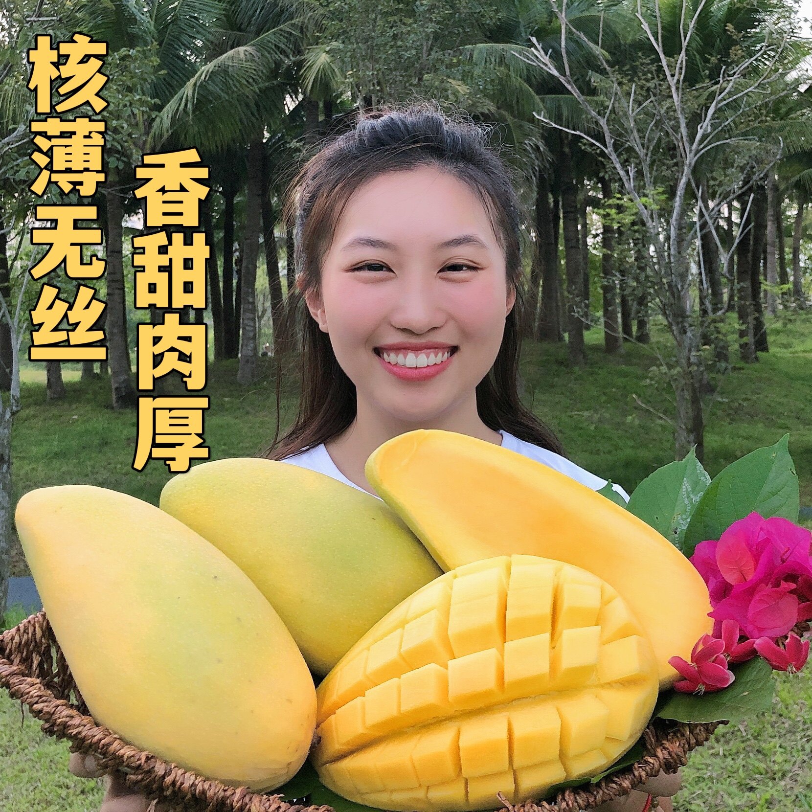 海南三亚金煌芒果8斤挑