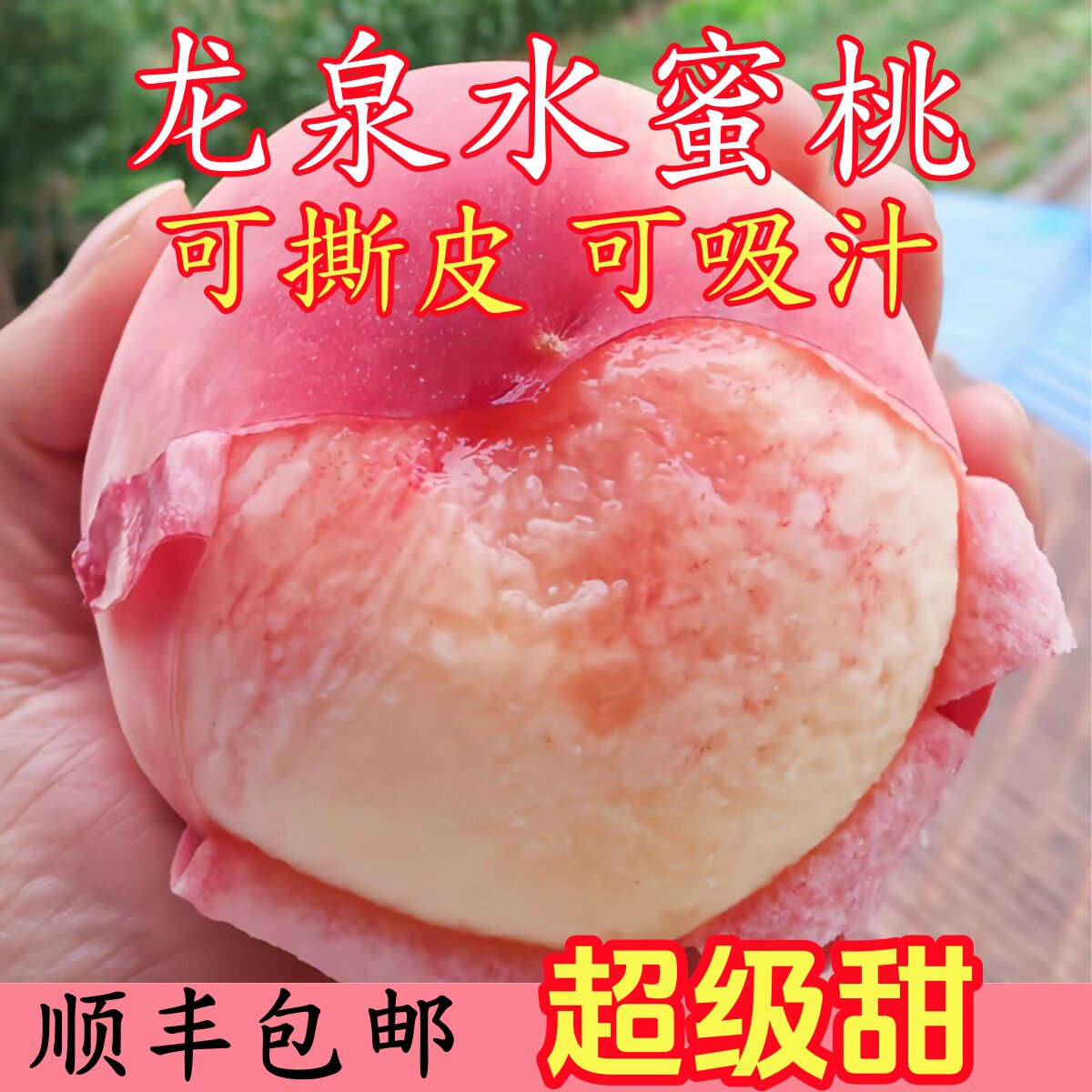 顺丰包邮龙泉水蜜桃龙泉驿水蜜桃新鲜水果水蜜桃现摘水蜜桃软桃