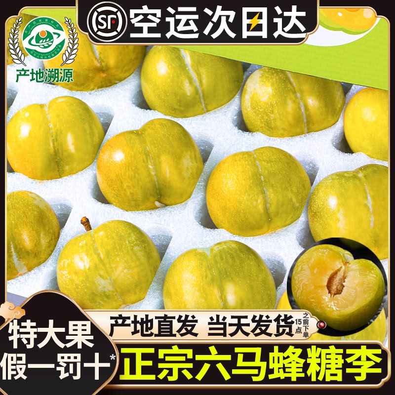 正宗贵州六马蜂糖李蜂蜜水果新鲜镇宁脱骨李子当季整箱应季礼盒
