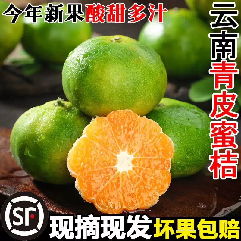 正宗青皮蜜桔现摘新鲜橘