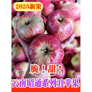 【顺丰送货上门】云南昭通丑苹果水果邵通冰糖心新鲜脆甜孕妇水果