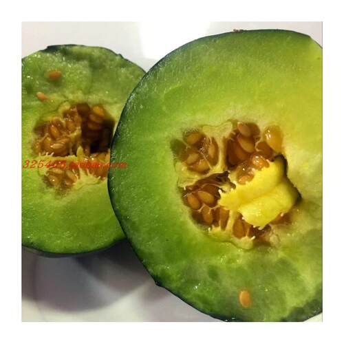 温州本地菜瓜脆瓜梢瓜越
