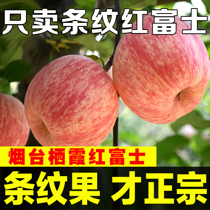 烟台红富士苹果水果新鲜