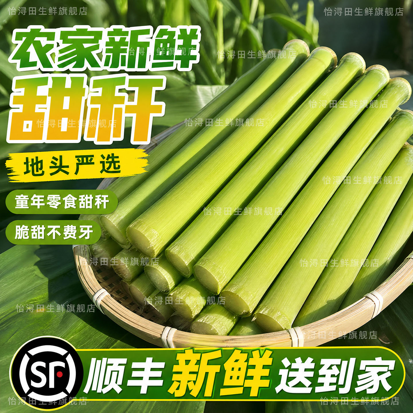 顺丰甜杆小甘蔗甜芦粟5斤