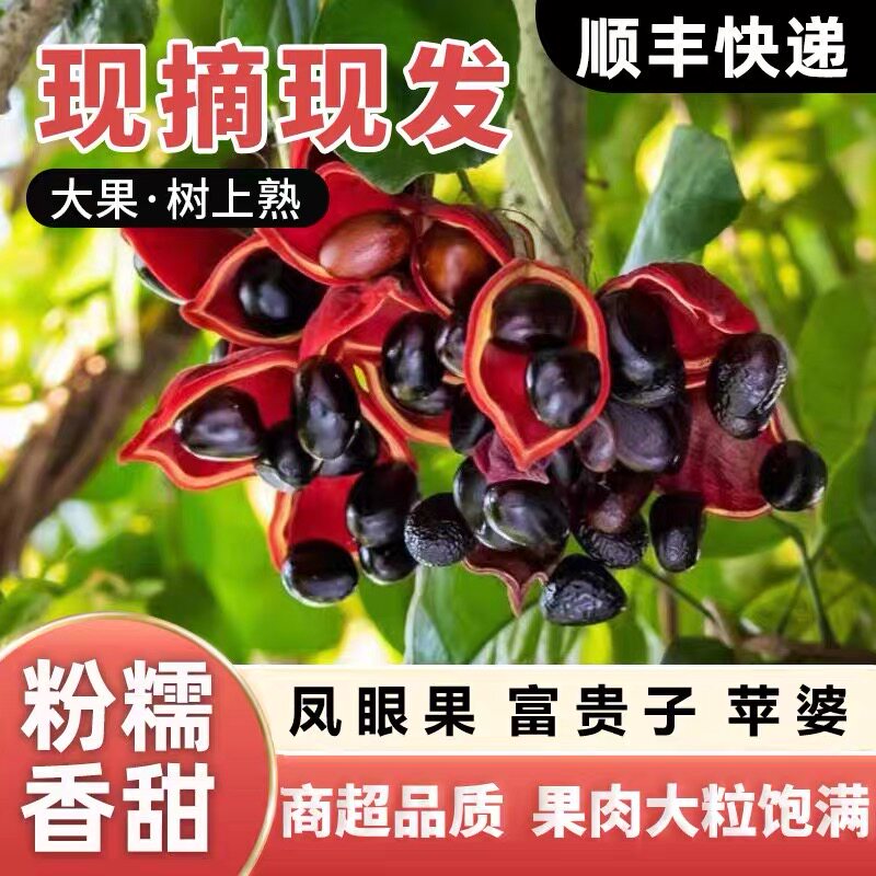 顺丰现货凤眼果九层皮果