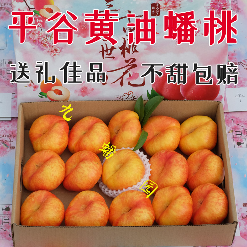 平谷油蟠桃黄金北京大桃