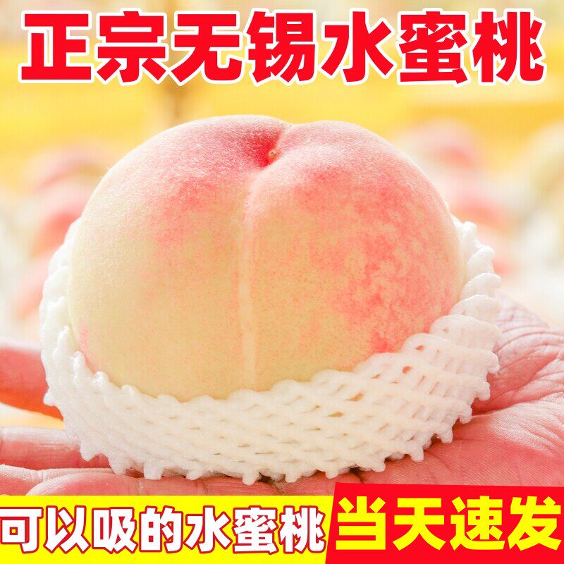 现货正宗无锡水蜜桃新鲜