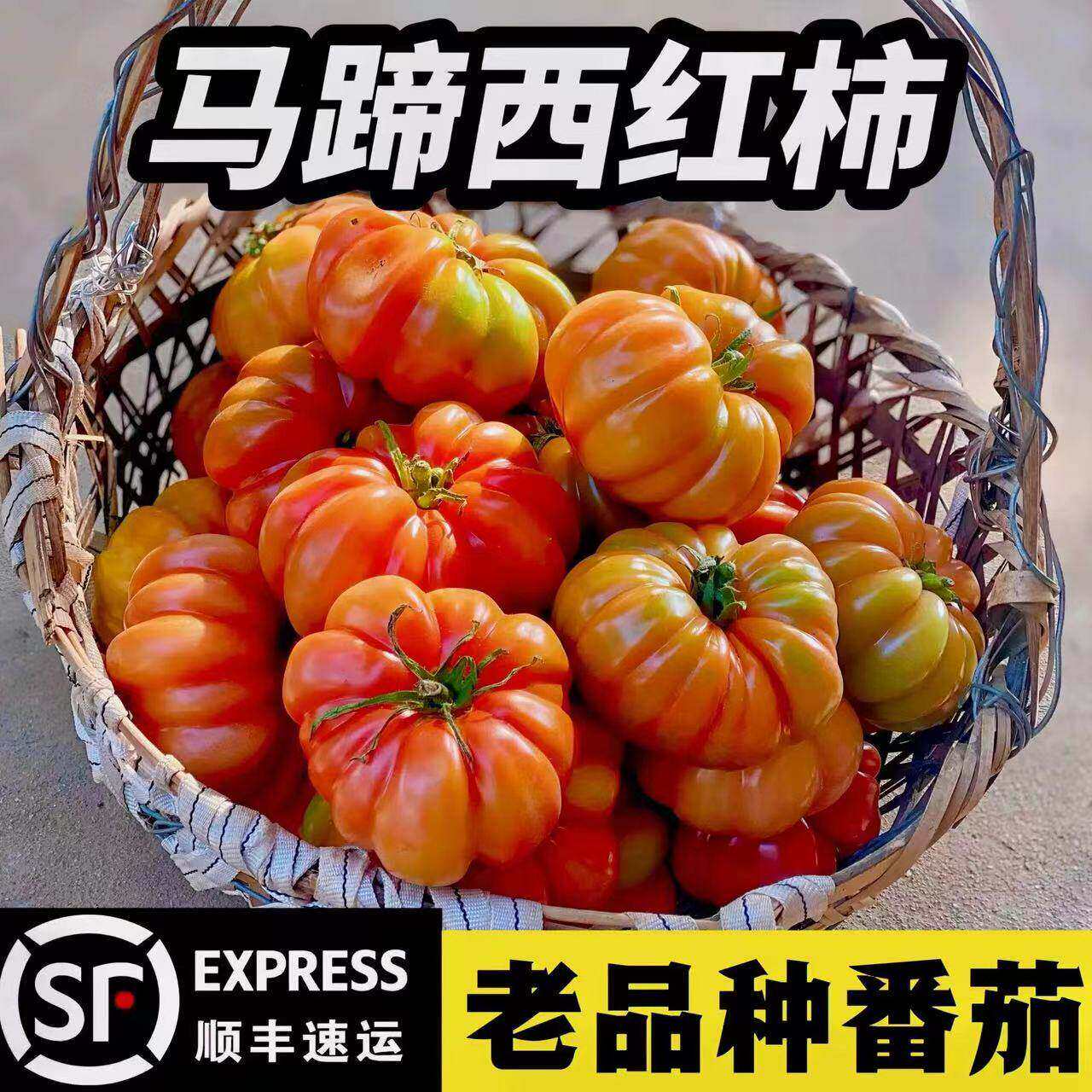 顺丰山东寿光马蹄番茄新