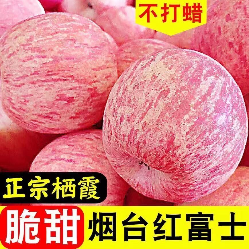 正宗烟台栖霞苹果红富士套袋绿色无农药不打蜡自家种老少皆宜包邮