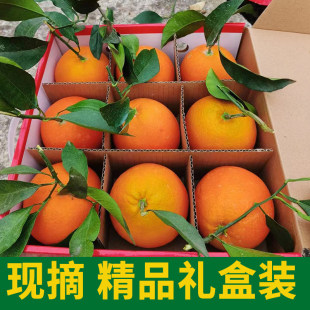 现摘新鲜橙子礼盒装18个当季水果带叶湖北宜昌秭归伦晚脐橙整箱