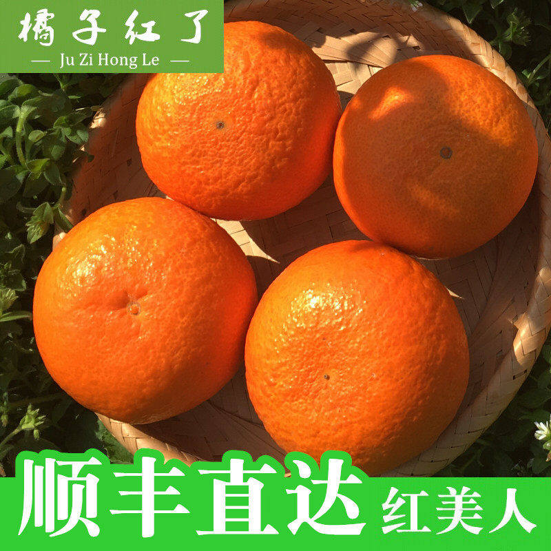 红美人柑橘礼盒橘子新鲜孕妇水果当季整箱浙江宁波桔子爱媛28号