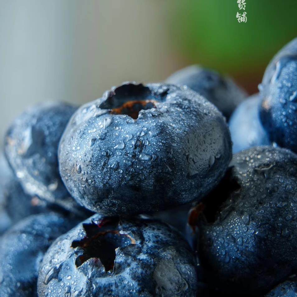 蛋婶儿颗粒蓝莓云南鲜果当季新鲜水果礼盒现摘现发孕妇水果春节礼,包装,水果包装,淘宝优惠券,粉丝福利购,淘宝优惠卷