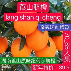 湖南省新宁崀山脐橙10斤鲜甜手剥橙孕妇水果年货大个纽荷尔