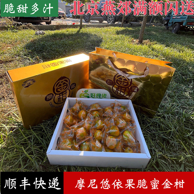 摩尼农品悠依果脆蜜金柑