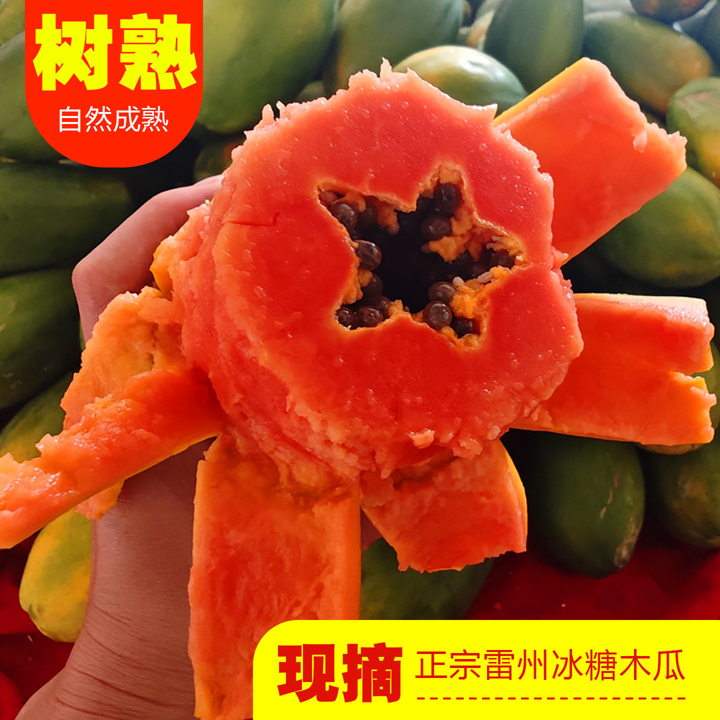 雷州树上自然熟新鲜下奶