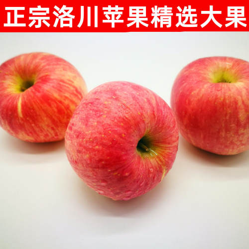 正宗陕西洛川苹果10新鲜