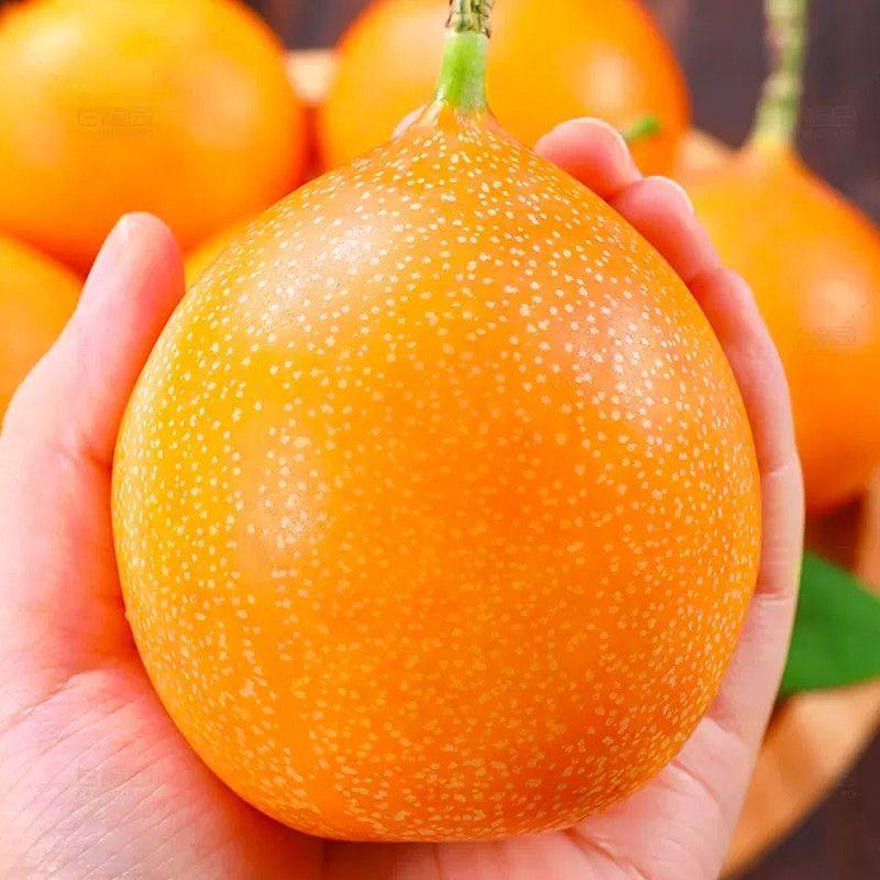 云南西双版纳热情果新鲜热带水果纯甜黄金百香果高端热带孕妇水果,包装,水果包装,淘宝优惠券,粉丝福利购,淘宝优惠卷