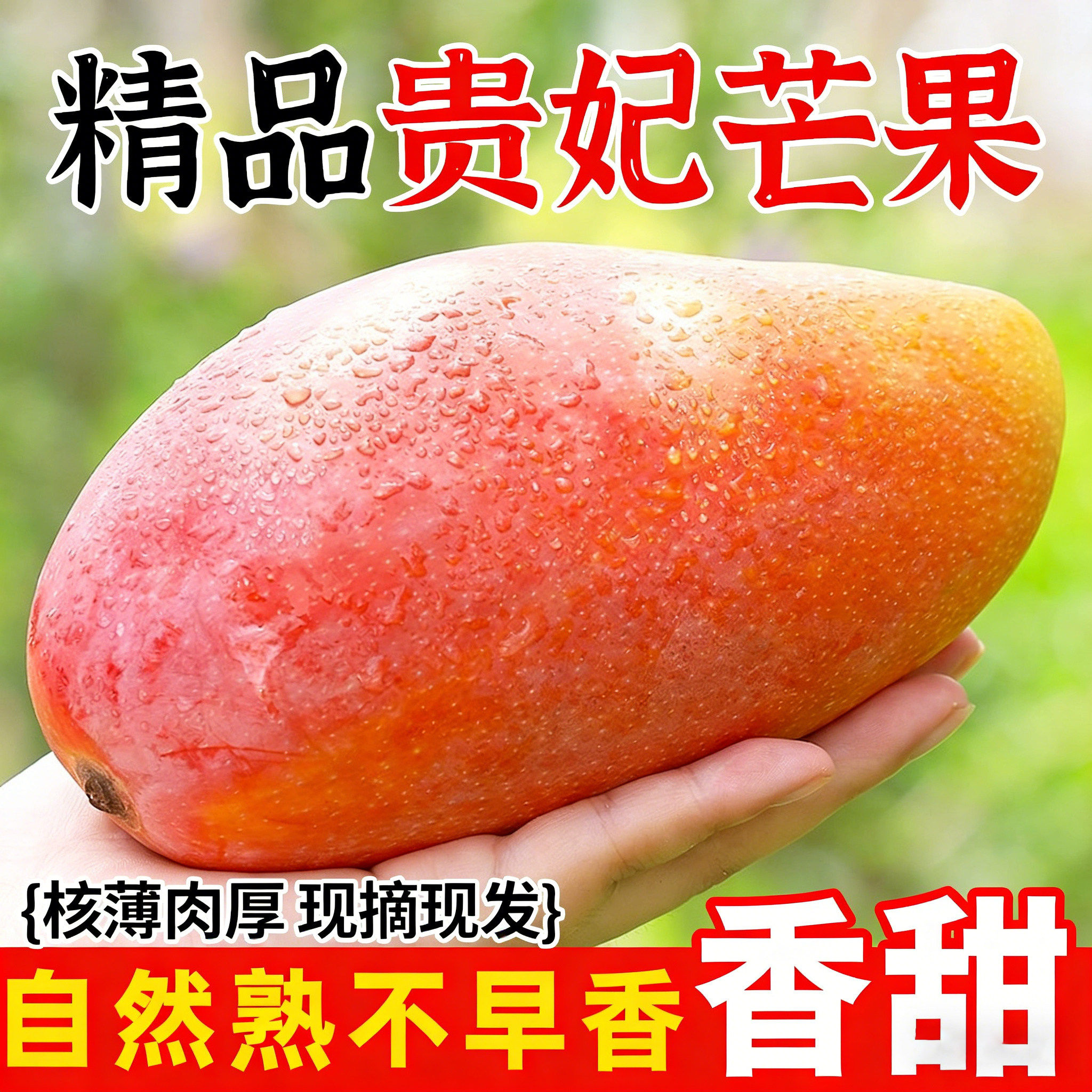 正宗贵妃芒现摘当季新鲜水果整箱10斤包邮海南芒果树上熟一级大果