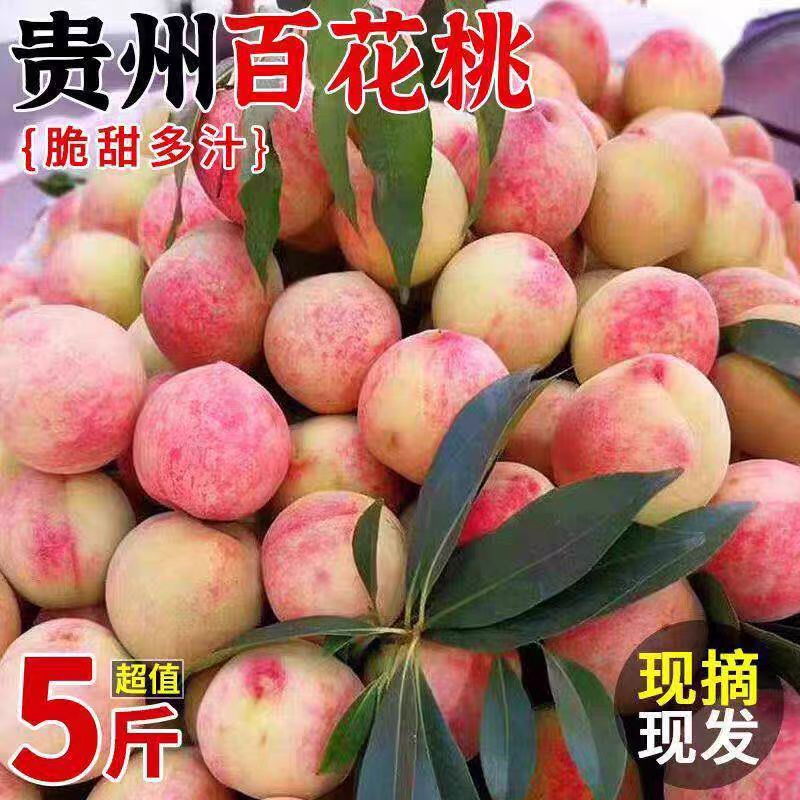 【现货现发】正宗贵州新