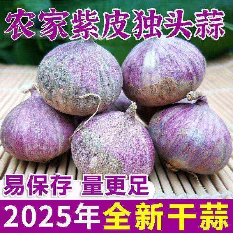 【紫皮独头蒜】鲜蒜新鲜