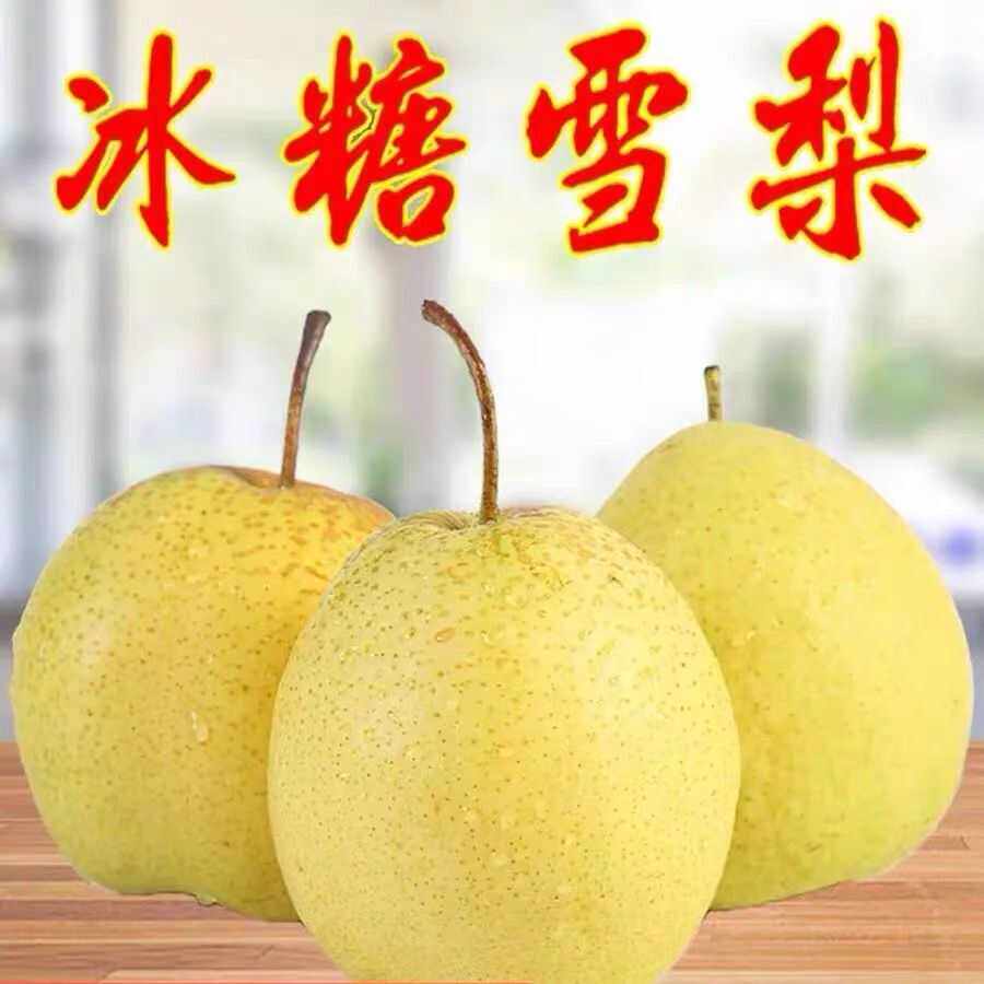 河北雪花梨水果新鲜梨子