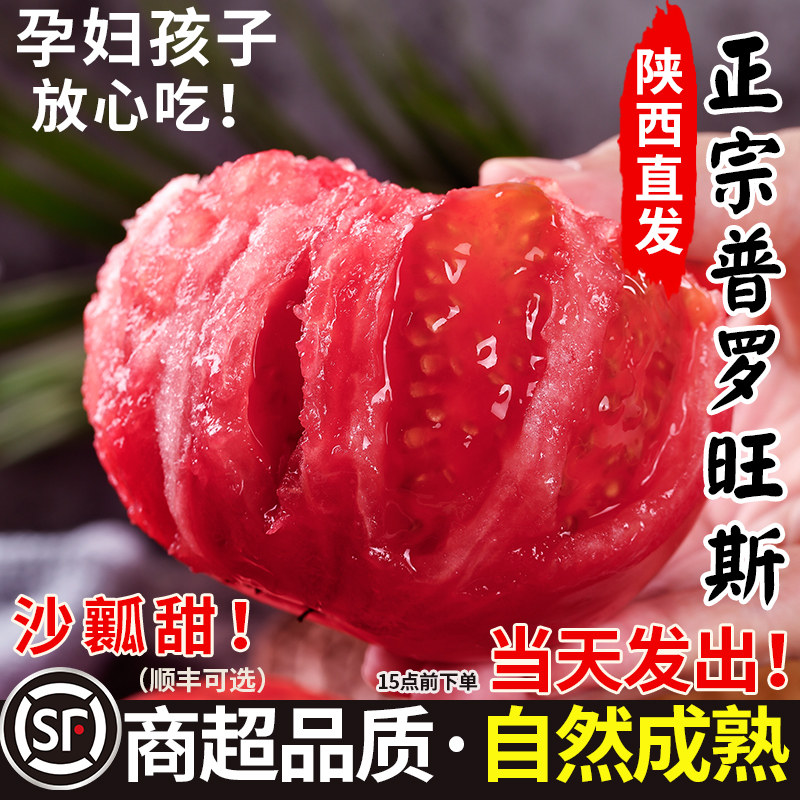 普罗旺斯沙瓤西红柿新鲜