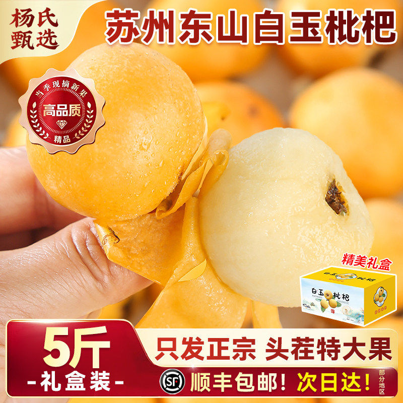 【头茬特大果】苏州东山
