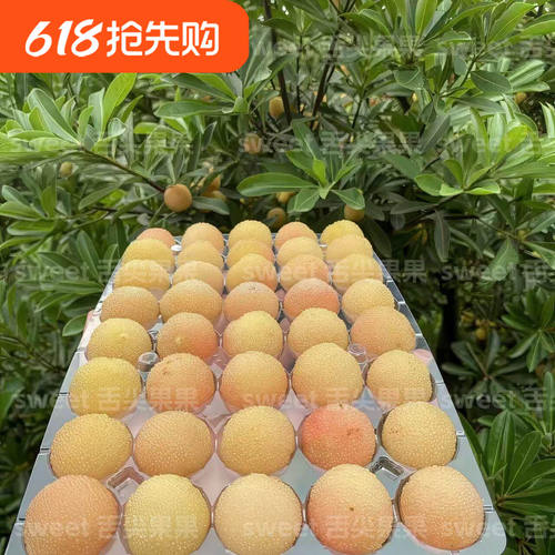 上虞二都杨梅白水晶精品
