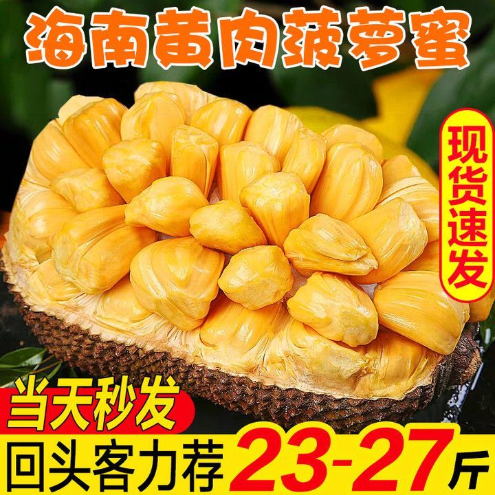 正宗海南菠萝蜜一整个新鲜水果包邮当季现摘干苞黄肉脆甜整箱