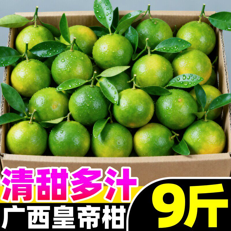 正宗广西皇帝柑新鲜水果橘子当季整箱砂糖桔子贡柑大果沃5柑10