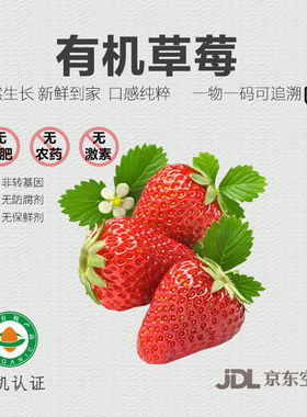【新品上市】有机草莓新