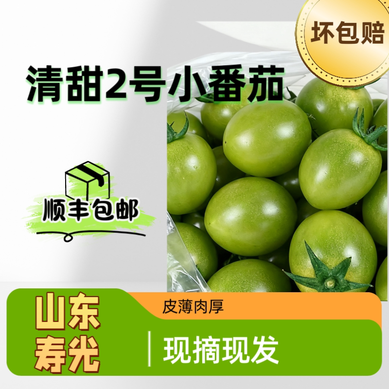 青甜2号小番茄柿子圣女果