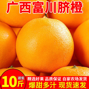 广西富川脐橙10斤橙子新鲜水果应当季正宗手剥冰糖甜橙果冻橙包邮