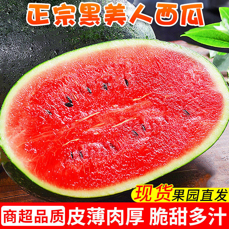 正宗黑美人西瓜当季水果新鲜薄皮大西瓜沙瓤甜西瓜麒麟瓜整箱包邮