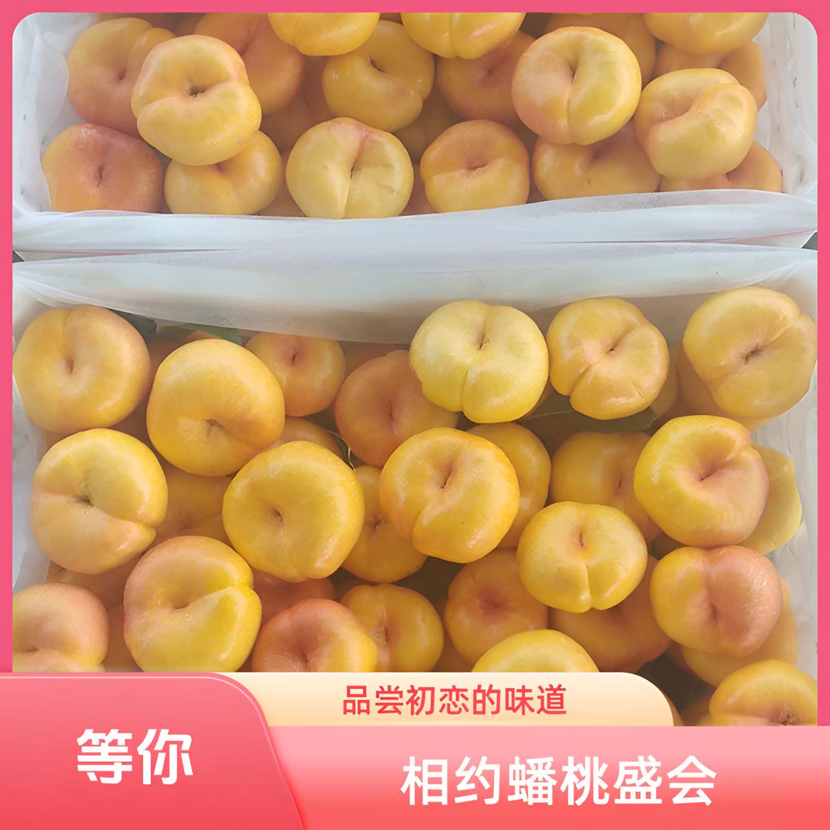 现货黄油蟠桃新鲜水果现