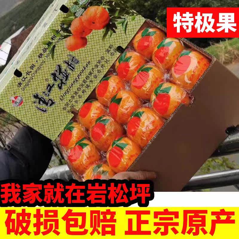 宜昌长阳正宗岩松坪清江椪柑芦柑橘新鲜孕妇水果新鲜采摘产地直发