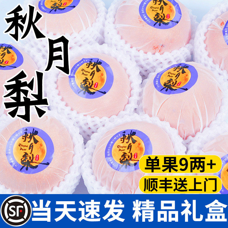 顺丰正宗山东秋月梨新鲜水果当季现摘莱阳梨子中秋礼盒装整箱包邮