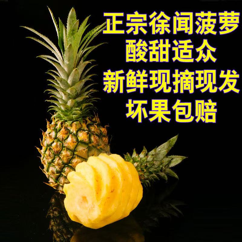 广东湛江特产徐闻香水菠