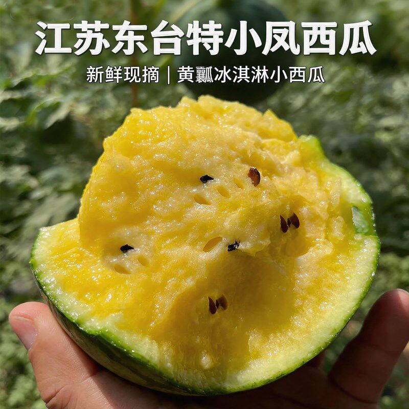 江苏东台西瓜新鲜现摘特