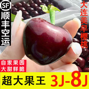 大连樱桃9j美早大樱桃8j俄8新鲜水果俄罗斯八号车厘子礼盒顺丰