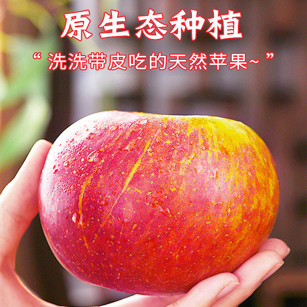 25年正宗云南昭通丑苹果