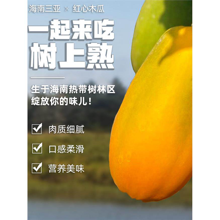 海南树上熟巧克力牛奶红心木瓜三亚自然熟新鲜水果孕妇5斤8斤顺丰