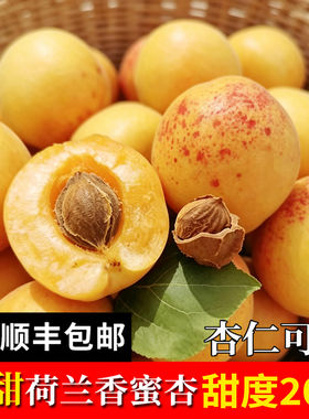 正宗荷兰香蜜杏现摘纯甜