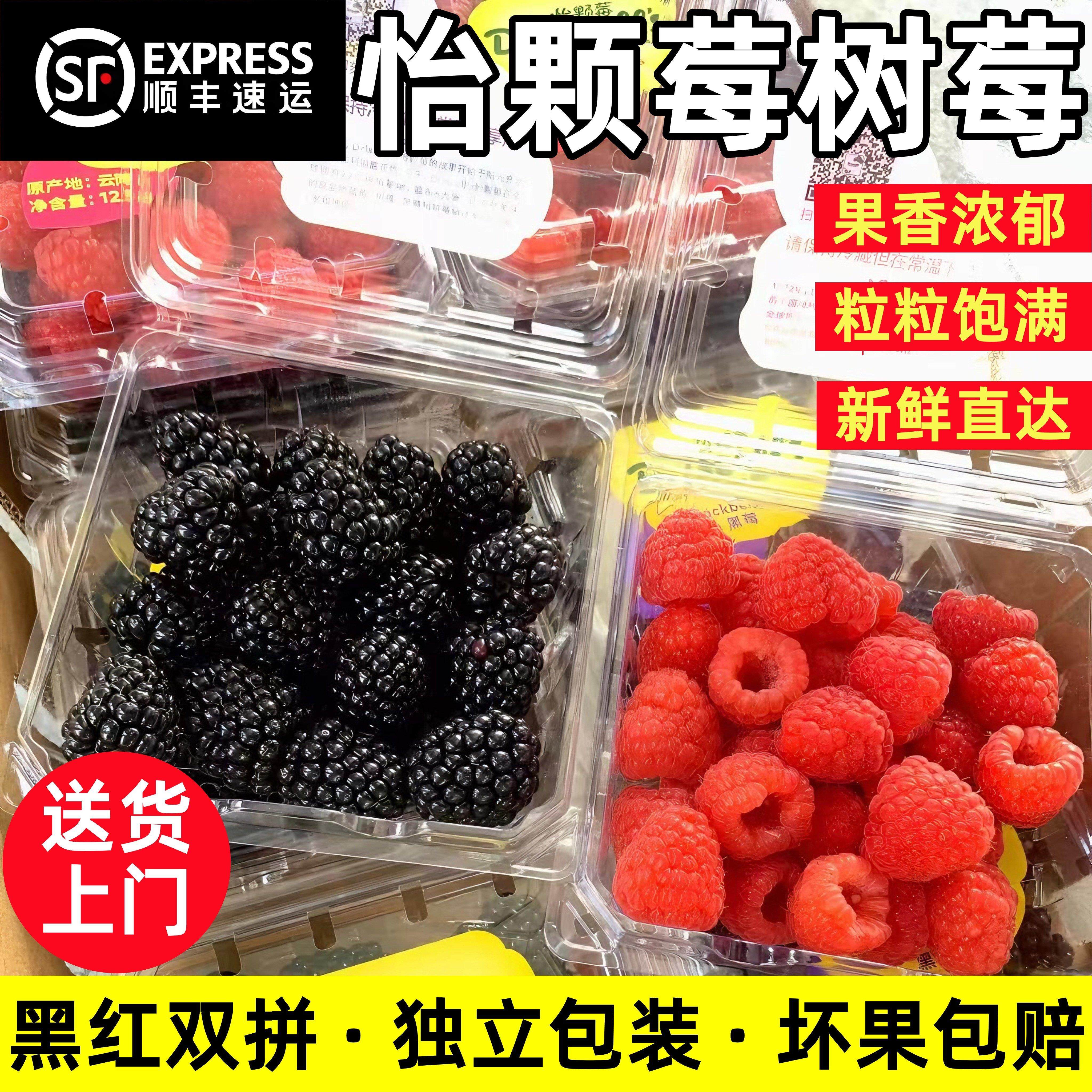 云南怡颗莓树莓黑红双拼当季新鲜孕妇水果覆盆子桑葚鲜果顺丰冷炼