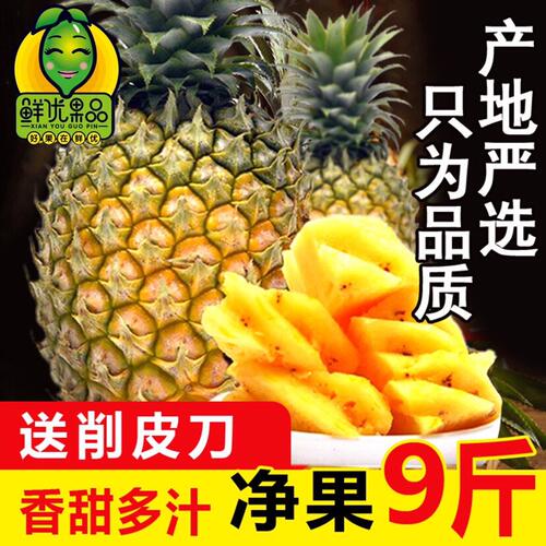 包邮海南菠萝香新鲜水果9