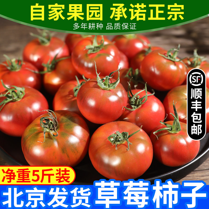 正宗草莓西红柿生吃沙瓤