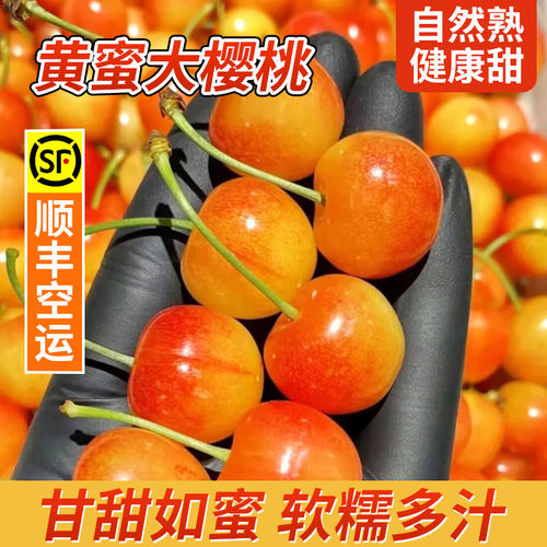 樱桃山东大水果新鲜正宗