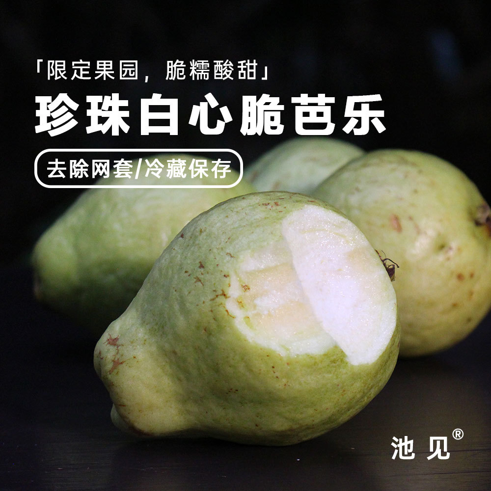 池见 珍珠脆甜芭乐番石榴【果香浓郁 脆软之间】5斤7-16个