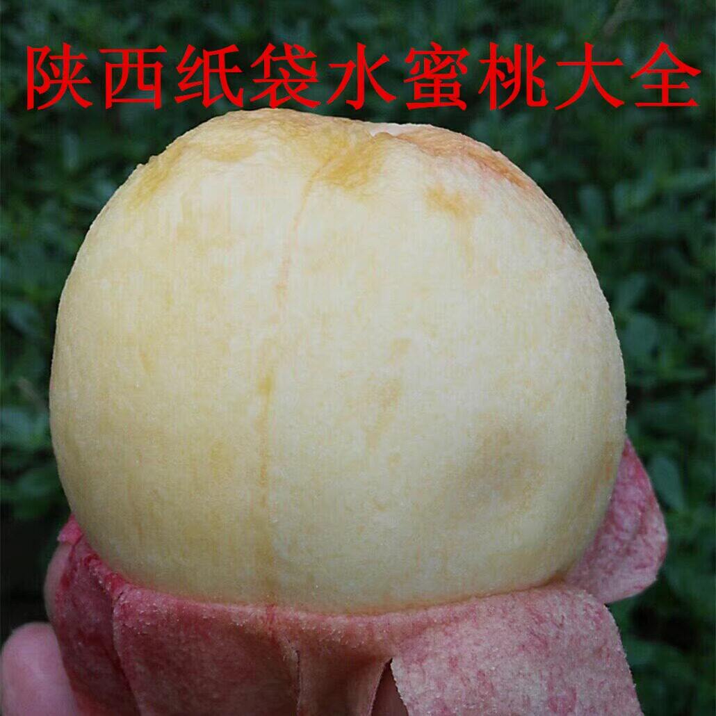 陕西水蜜桃软突围可撕皮