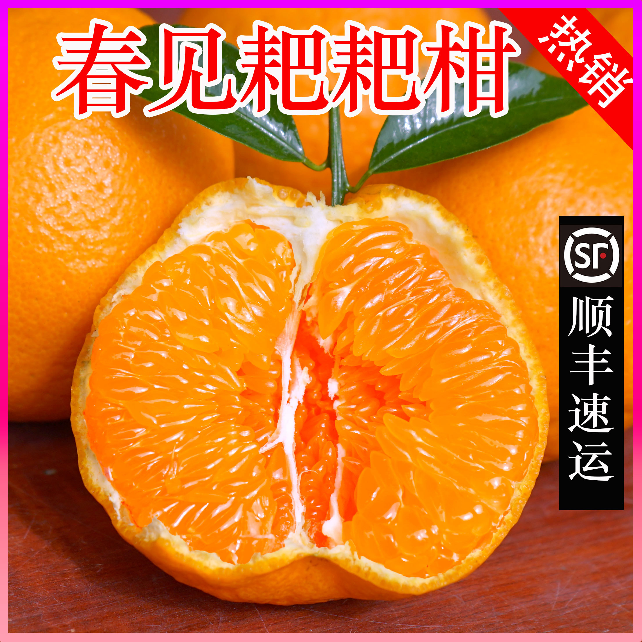 顺丰包邮四川春见耙耙柑10斤粑粑柑杷杷柑丑桔橘子现摘发货